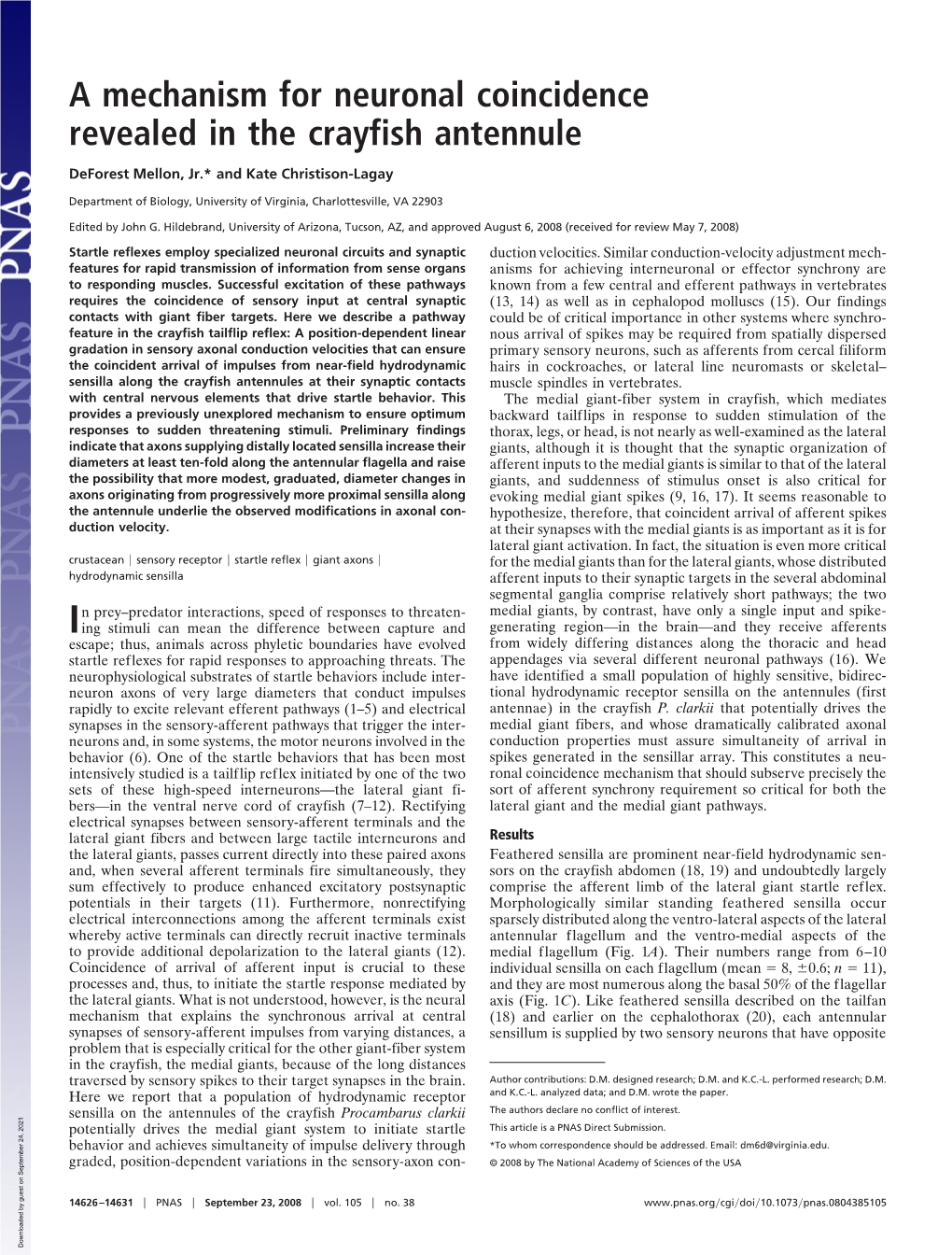 A Mechanism for Neuronal Coincidence Revealed in the Crayfish Antennule