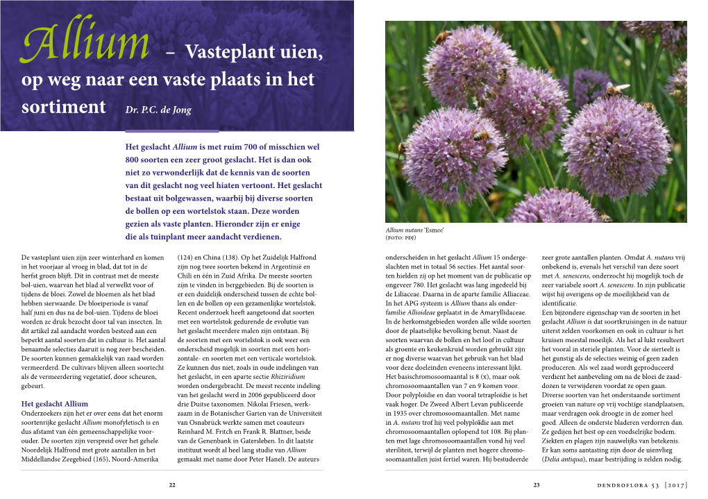 Allium – Vasteplant Uien, Op Weg Naar Een Vaste Plaats in Het Sortiment Dr