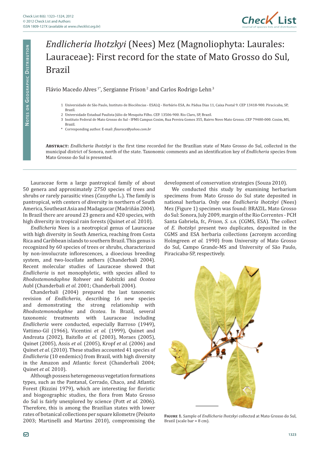 Endlicheria Lhotzkyi (Nees) Mez (Magnoliophyta: Laurales: Lauraceae): First Record for the State of Mato Grosso Do Sul