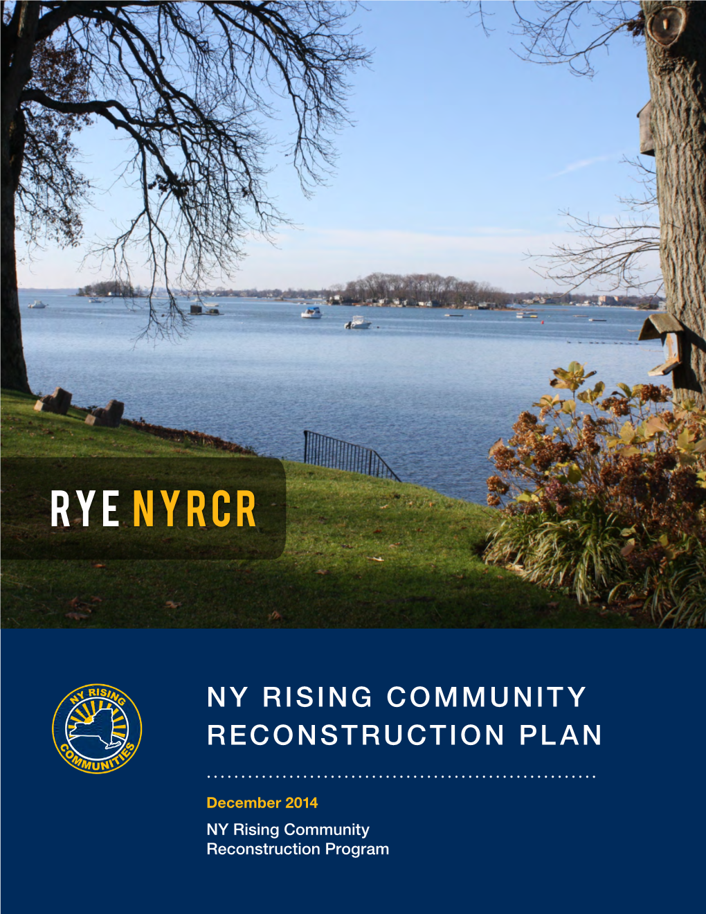 Rye Nyrcr Planning Committee