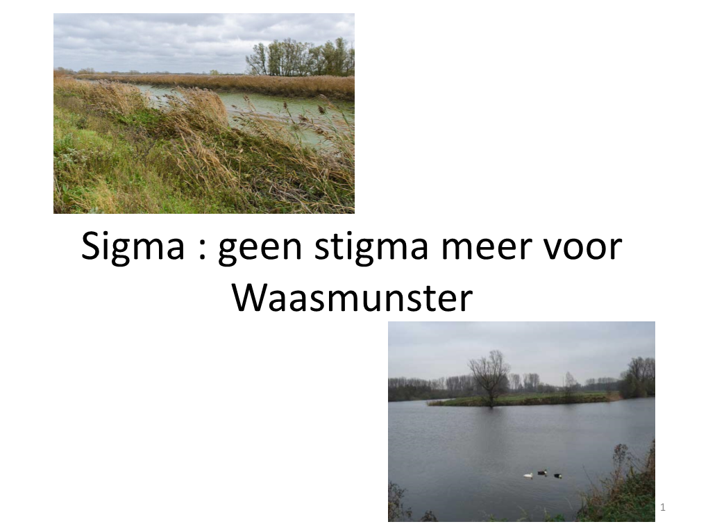 Sigma : Geen Stigma Meer Voor Waasmunster