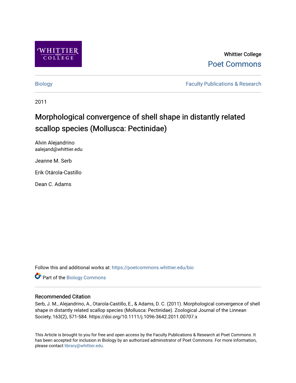 Morphological Convergence of Shell Shape in Distantly Related Scallop Species (Mollusca: Pectinidae)