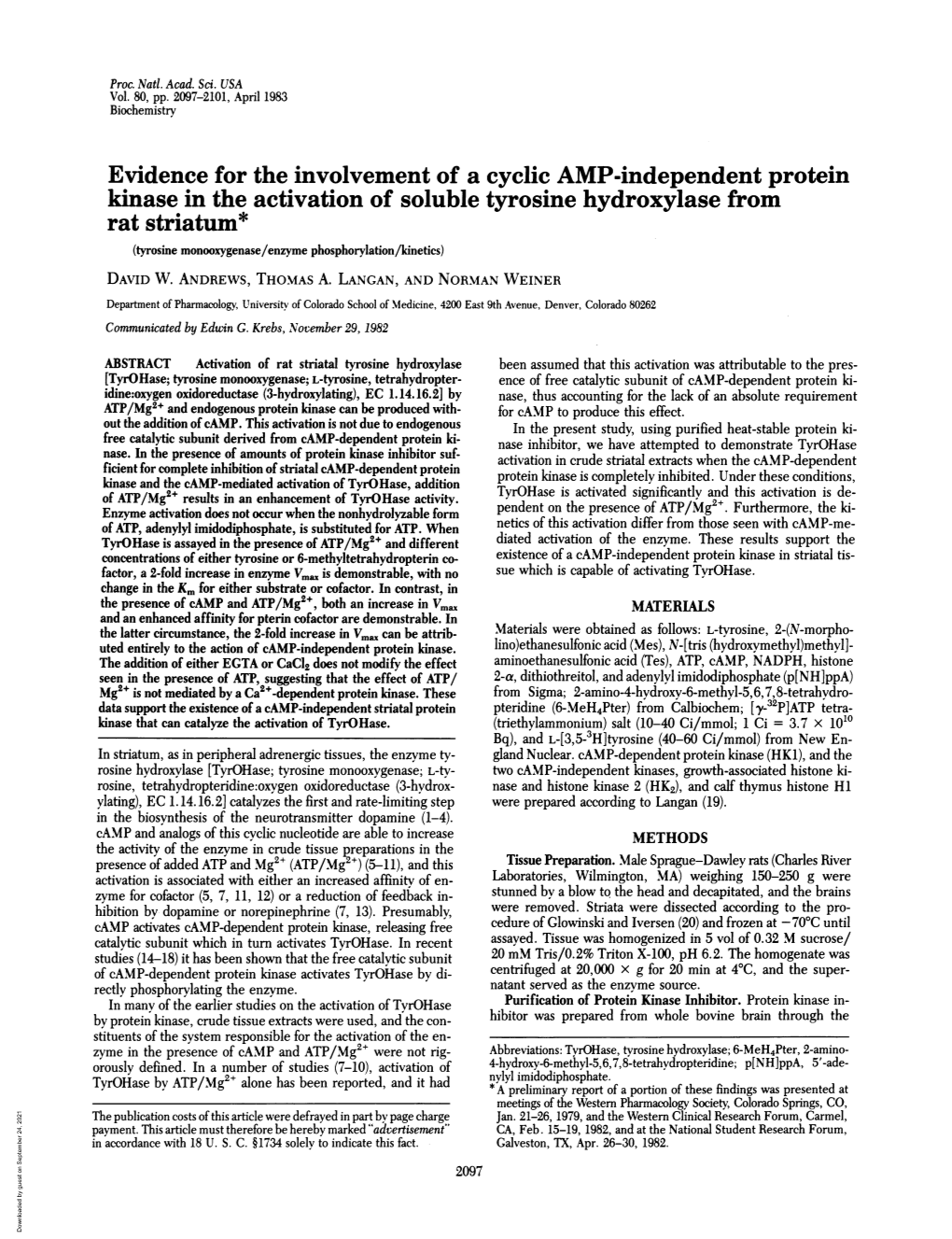 Rat Striatum* (Tyrosine Monooxygenase/Enzyme Phosphorylation/Kinetics) DAVID W