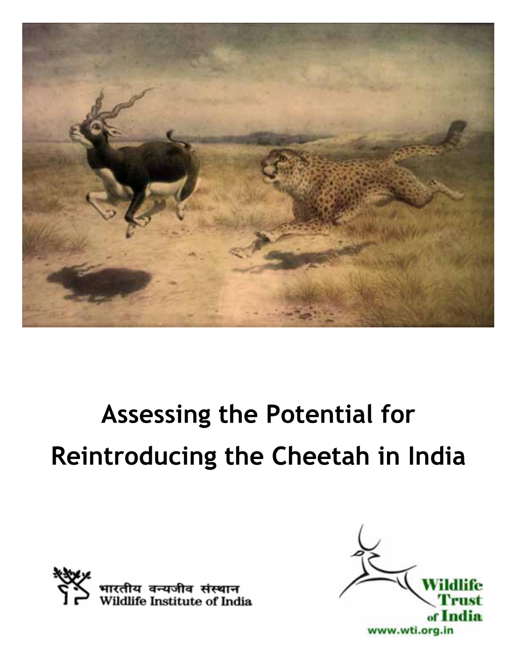 Assessing the Potential for Reintroducing the Cheetah in India