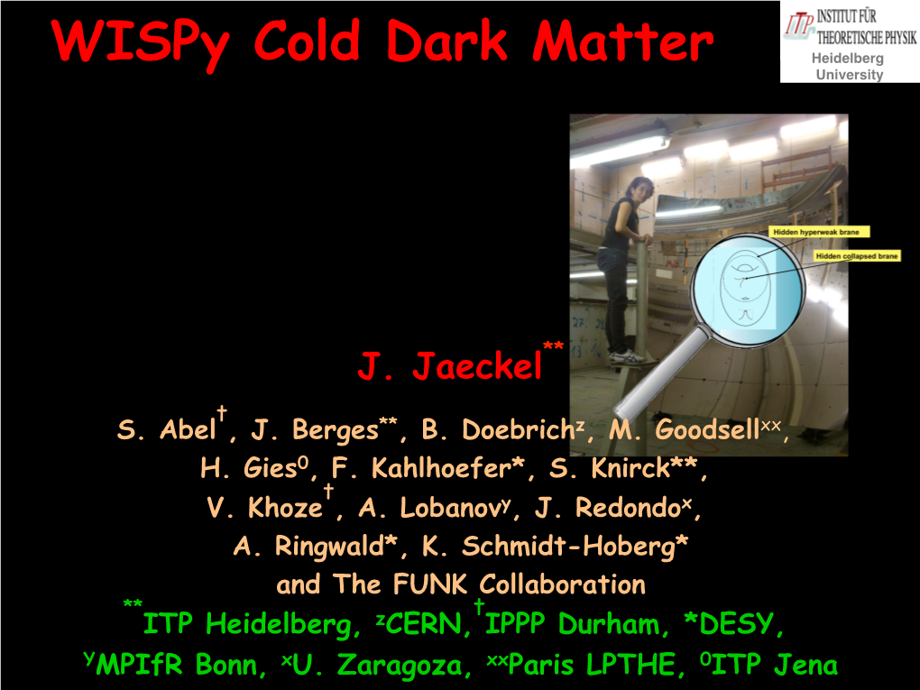 Wispy Cold Dark Matter Heidelberg University!