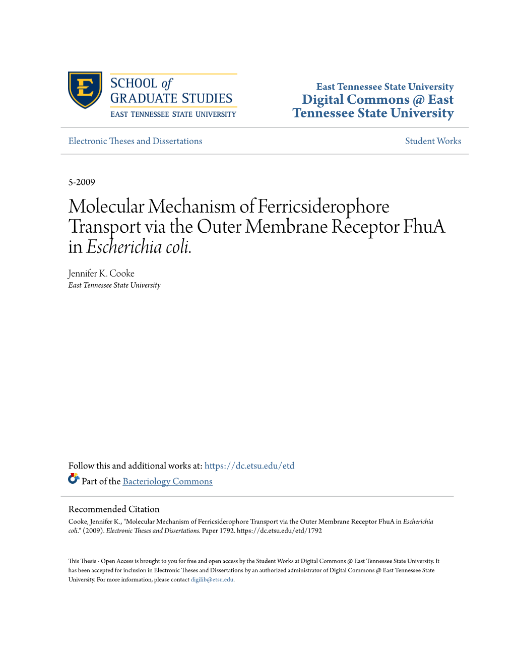 Molecular Mechanism of Ferricsiderophore Transport Via the Outer Membrane Receptor Fhua in Escherichia Coli