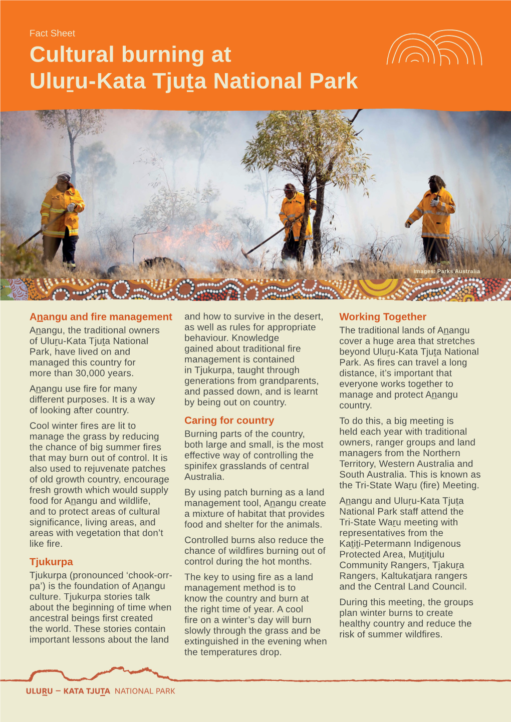 Cultural Burning at Uluṟu-Kata Tjuṯa National Park