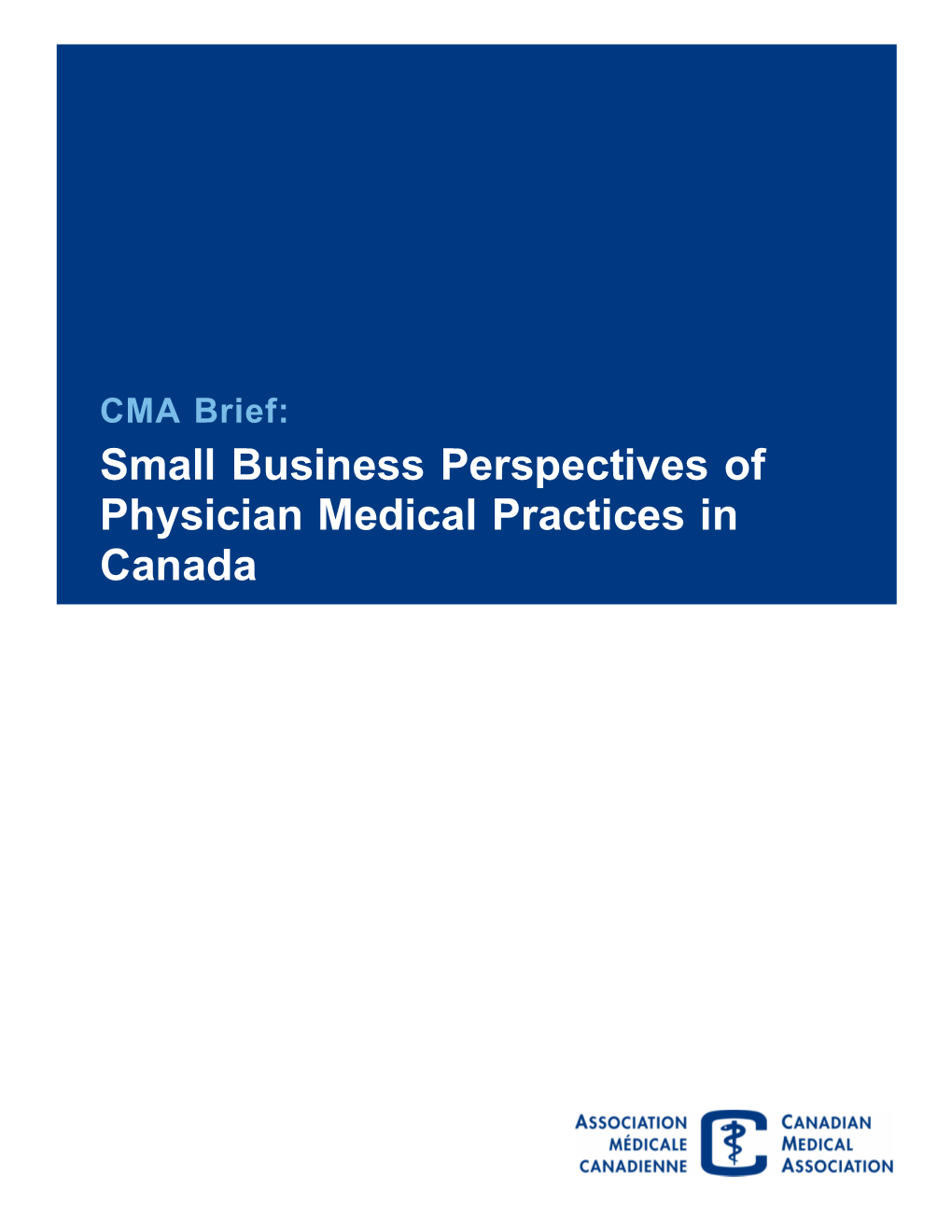 Small Business Perspectives of Physician Medical Practices in Canada