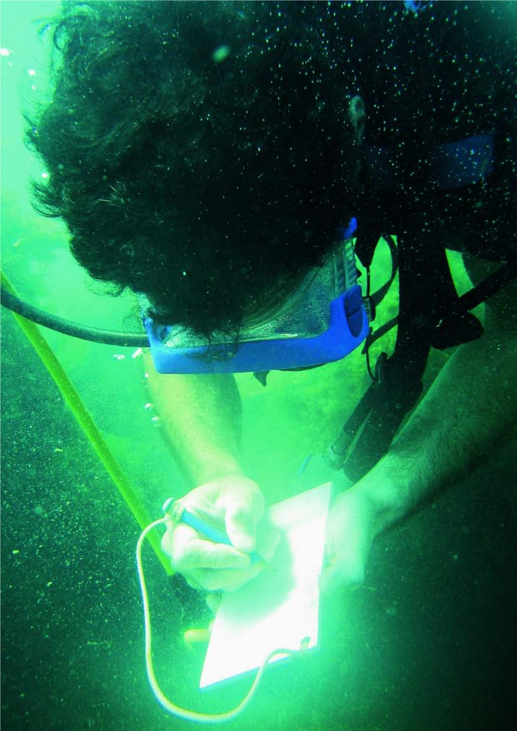 Nuovi Habitat Costieri Dalle Opere Per La Difesa Dal Mare. Gli Ambienti Sommersi Delle Scogliere Di Pellestrina E Malamocco