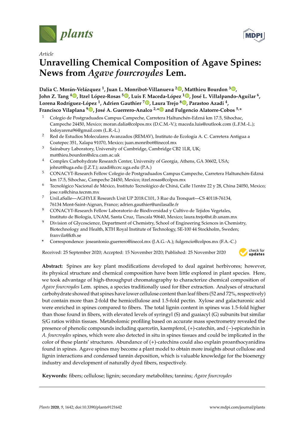 Unravelling Chemical Composition of Agave Spines: News from Agave Fourcroydes Lem