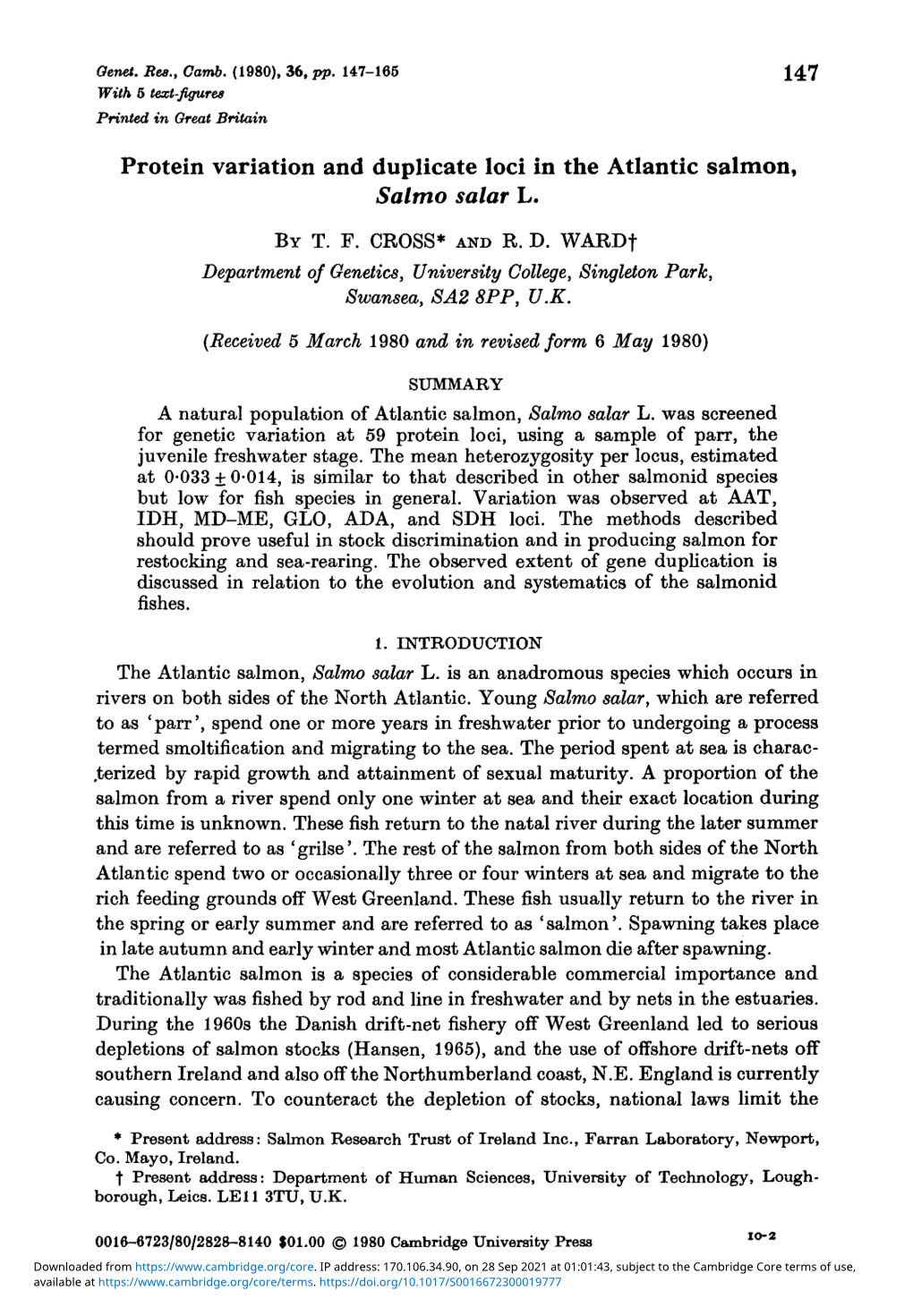 Protein Variation and Duplicate Loci in the Atlantic Salmon, Salmo Solar L