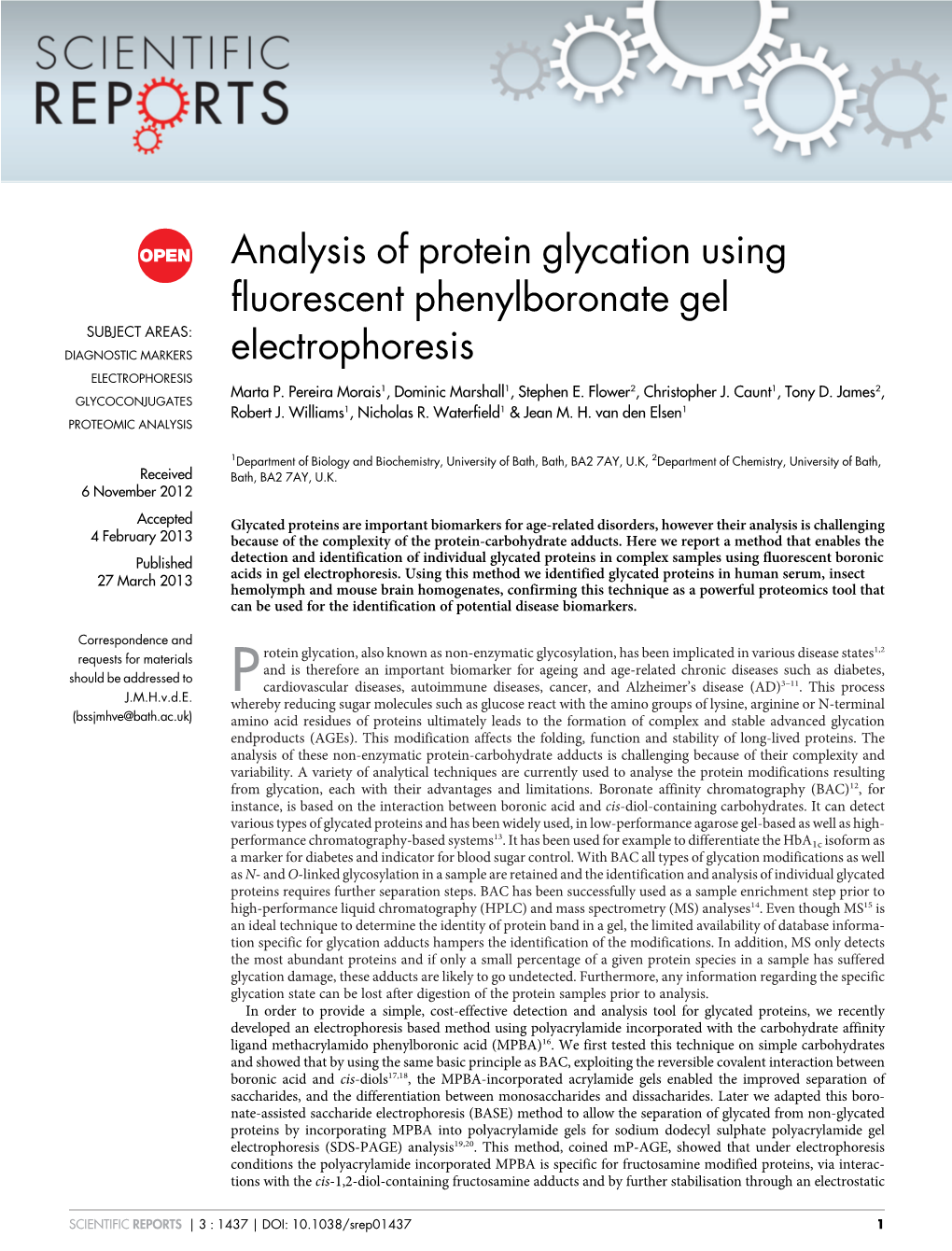 Analysis of Protein Glycation Using Fluorescent Phenylboronate Gel SUBJECT AREAS: DIAGNOSTIC MARKERS Electrophoresis ELECTROPHORESIS Marta P