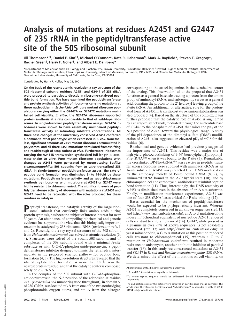 Analysis of Mutations at Residues A2451 and G2447 of 23S Rrna in the Peptidyltransferase Active Site of the 50S Ribosomal Subunit