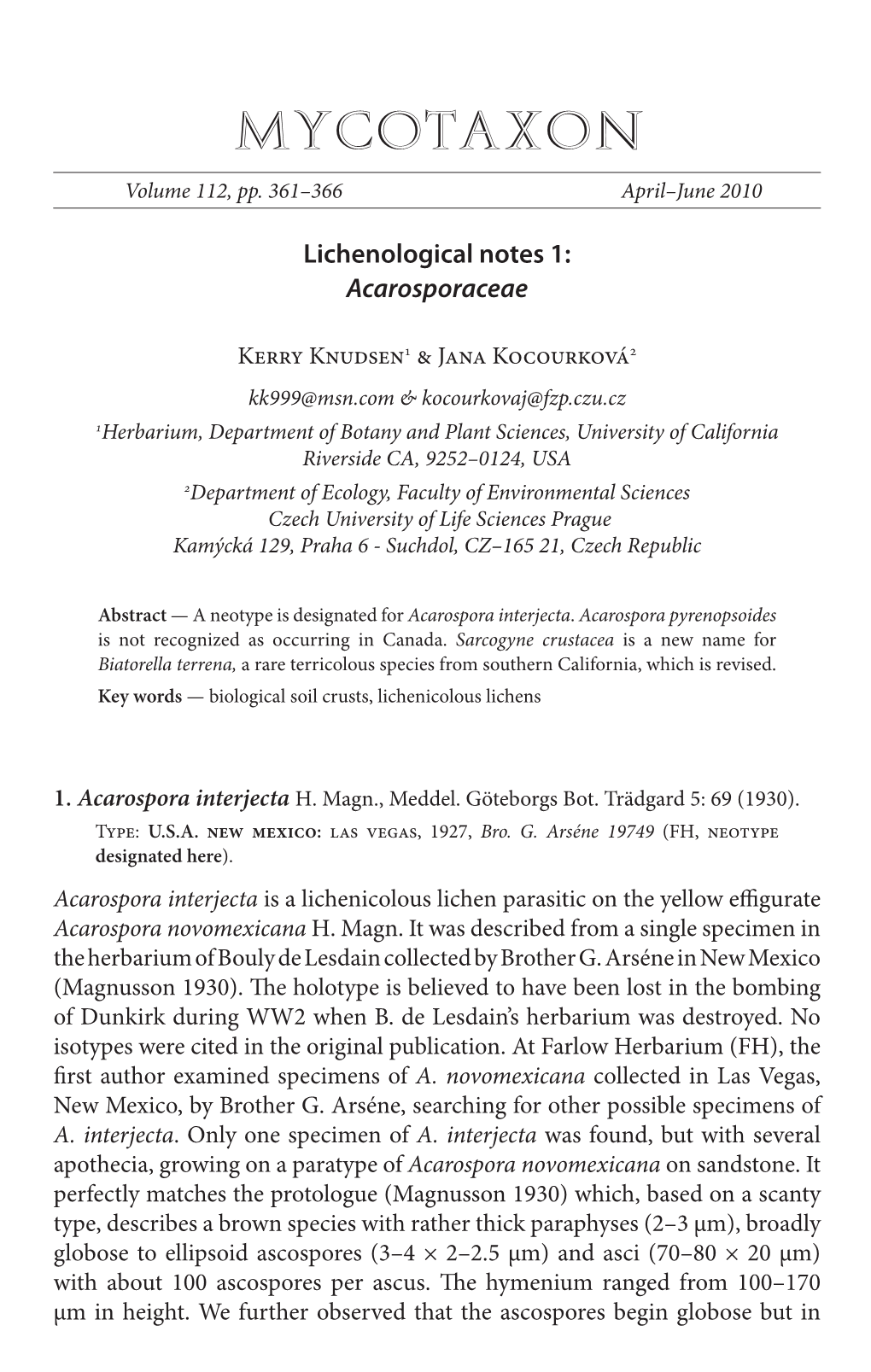 Lichenological Notes 1: <I>Acarosporaceae</I>