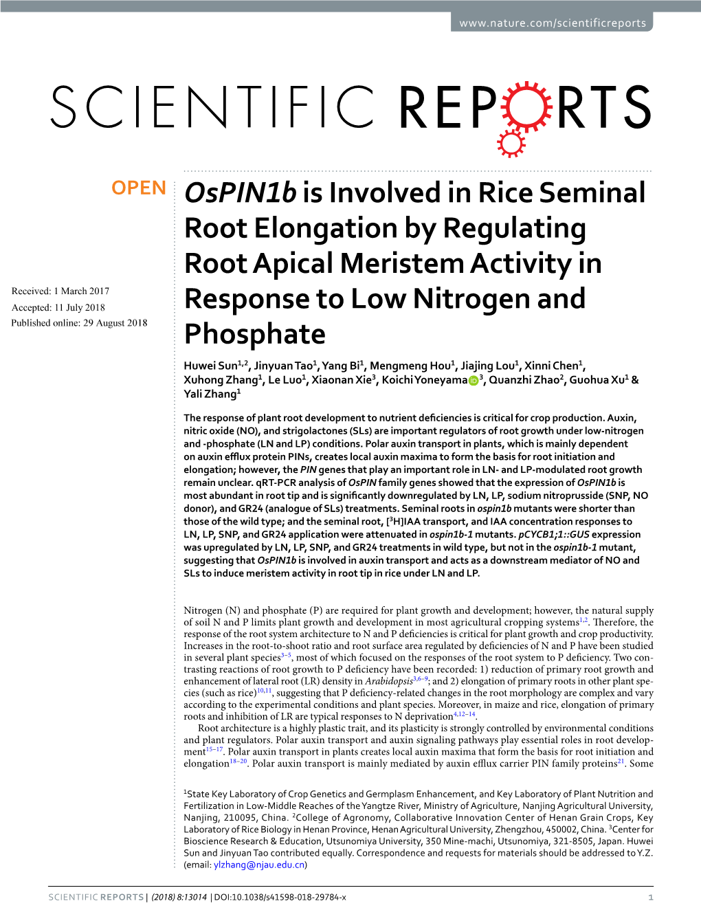 Ospin1b Is Involved in Rice Seminal Root Elongation by Regulating