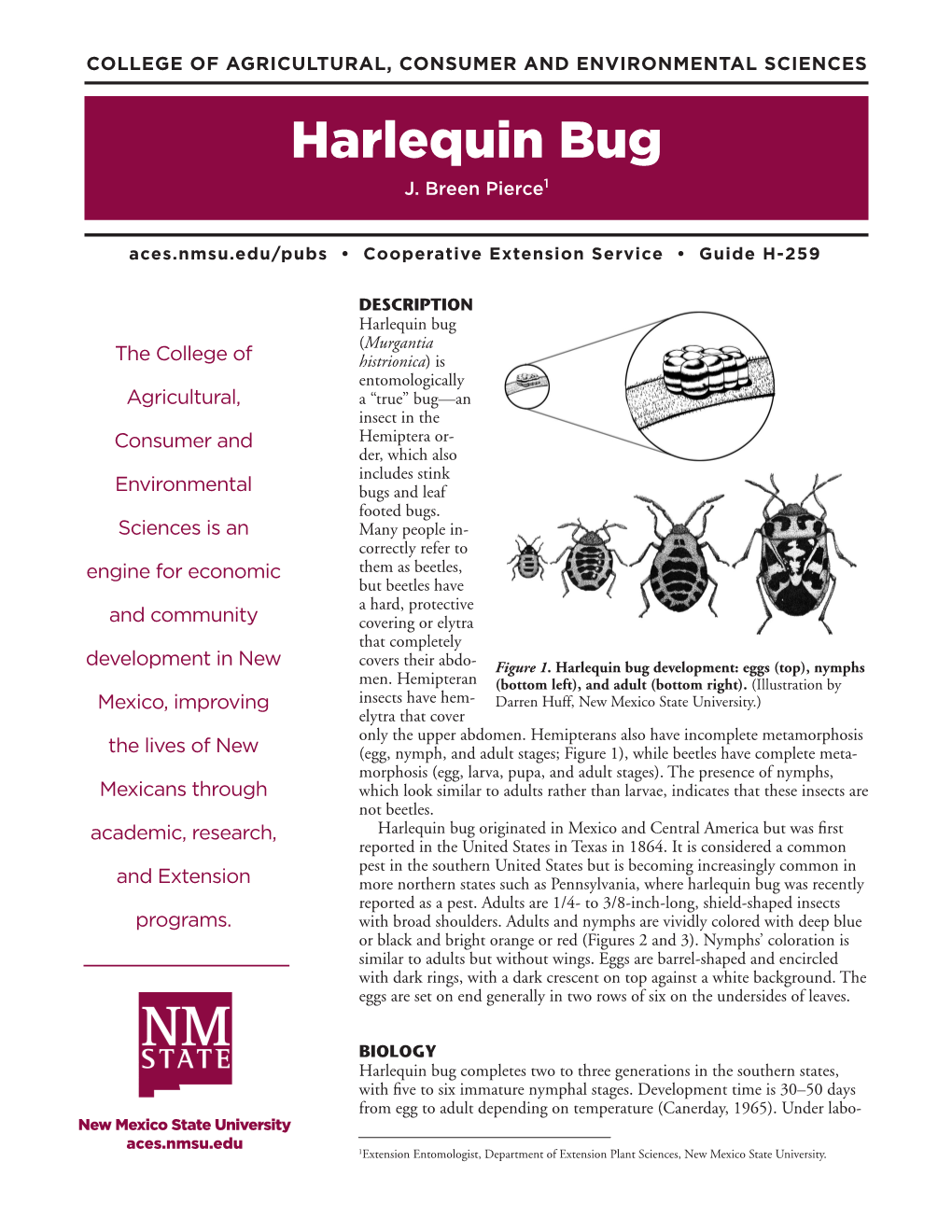 H-259: Harlequin