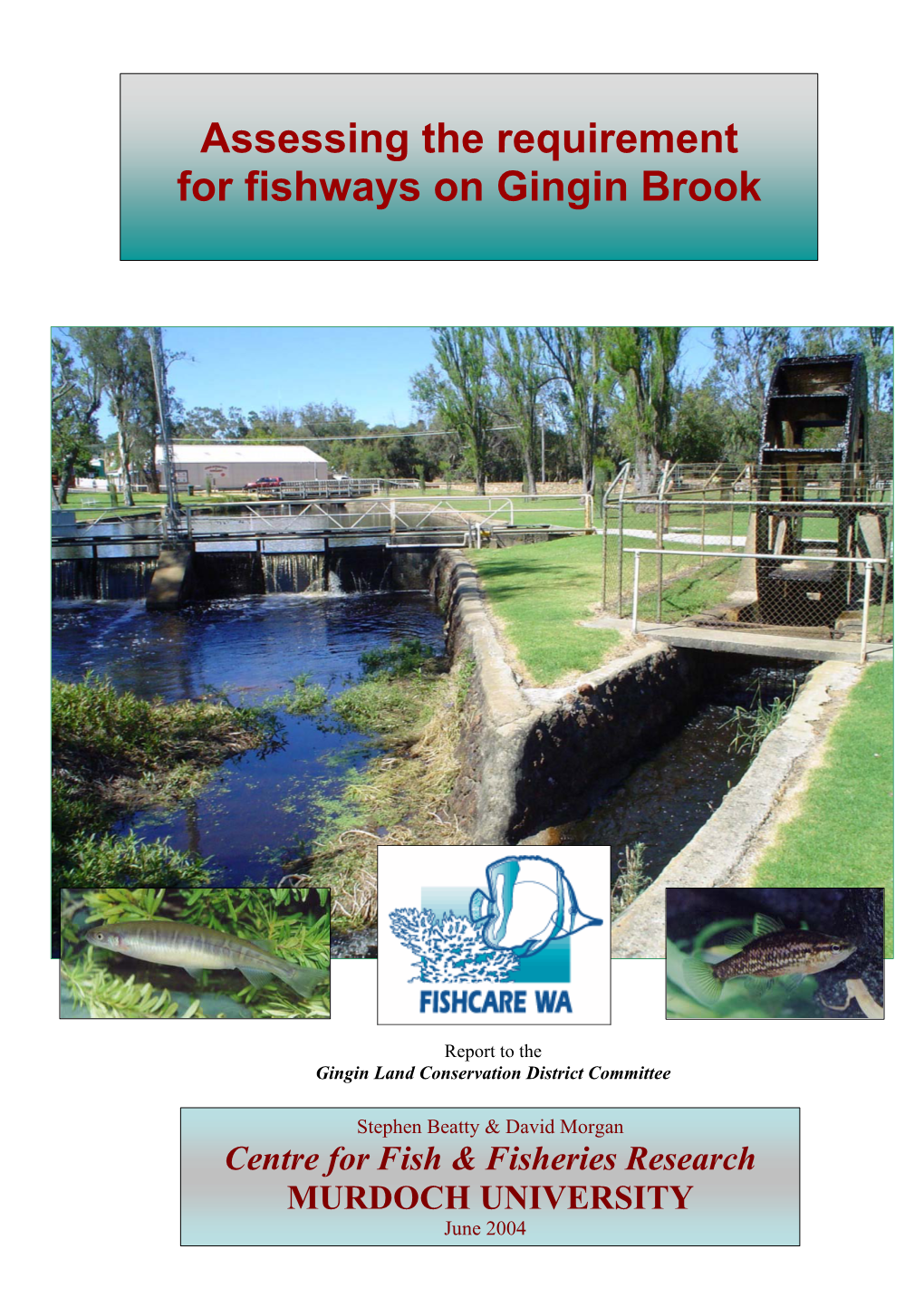 Assessing the Requirement for Fishways on Gingin Brook