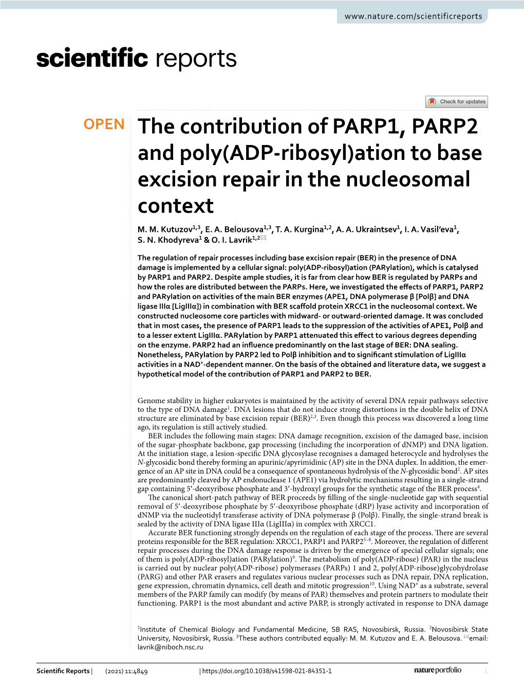 The Contribution of PARP1, PARP2 and Poly(ADP-Ribosyl)