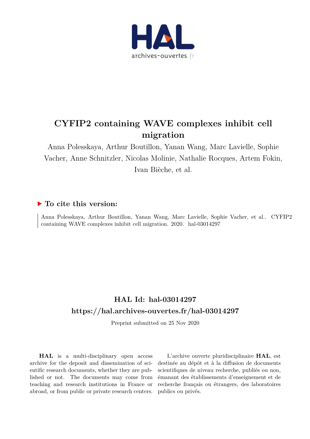 CYFIP2 Containing WAVE Complexes Inhibit Cell Migration