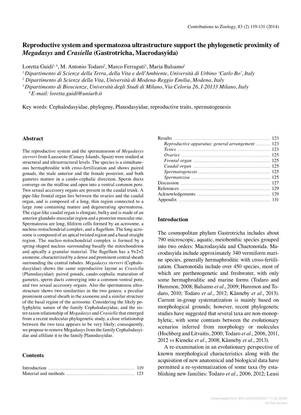 Reproductive System and Spermatozoa Ultrastructure Support the Phylogenetic Proximity of Megadasys and Crasiella (Gastrotricha, Macrodasyida)