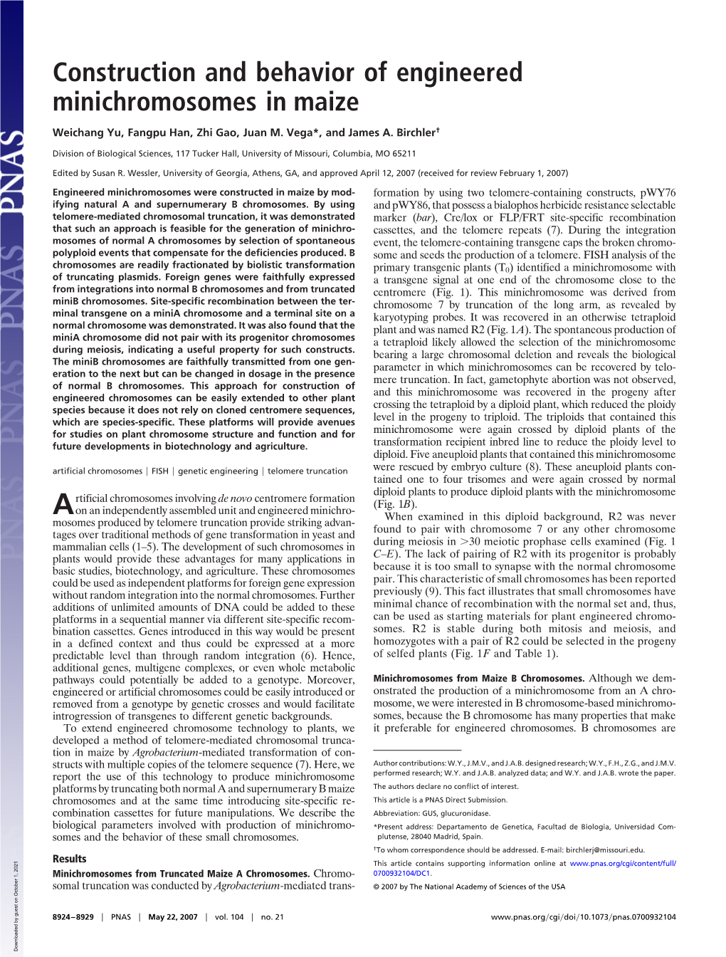 Construction and Behavior of Engineered Minichromosomes in Maize