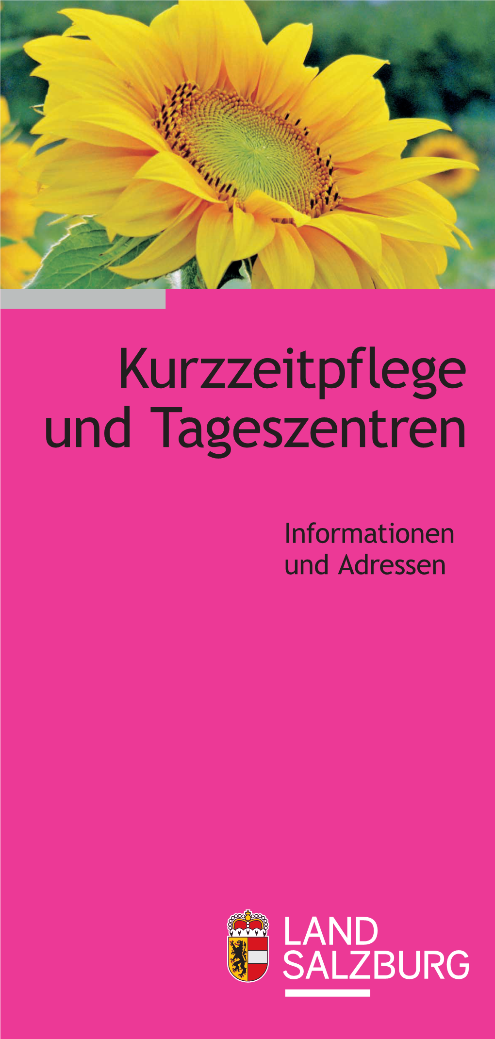 Kurzzeitpflege Und Tageszentren