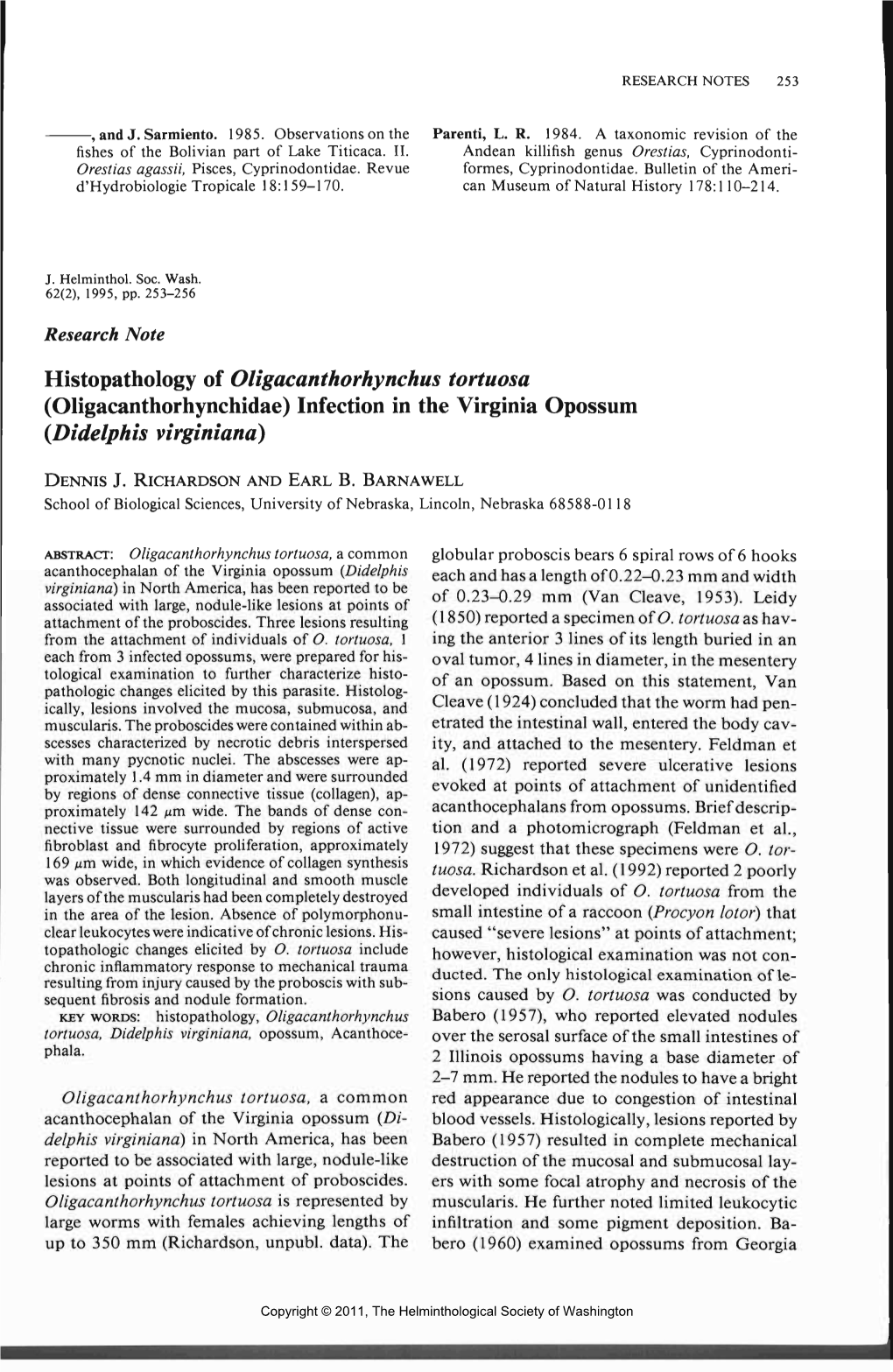 Infection in the Virginia Opossum (Didelphis Virginiand)