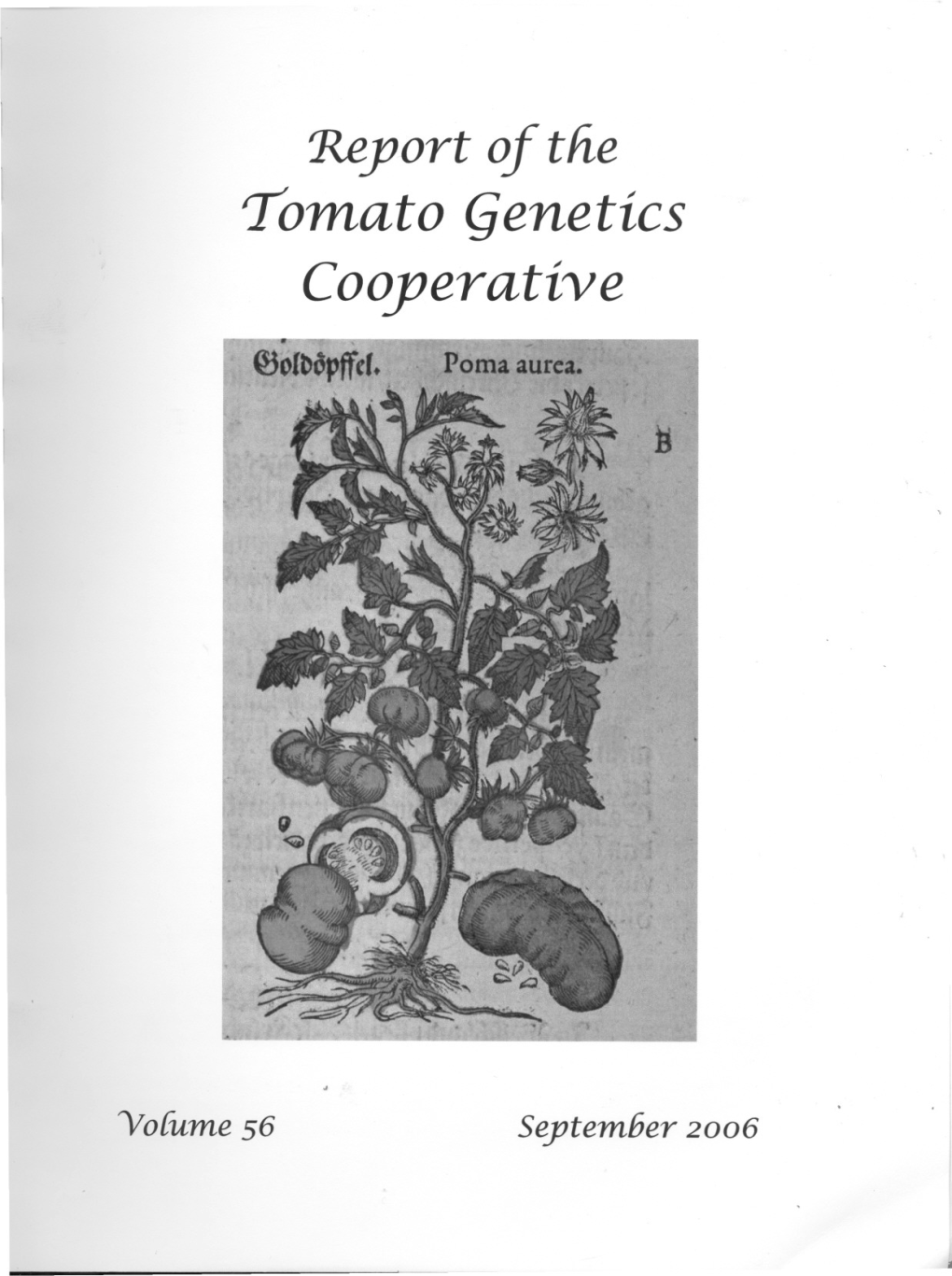 NOMENCLATURE for WILD and CULTIVATED TOMATOES Iris E