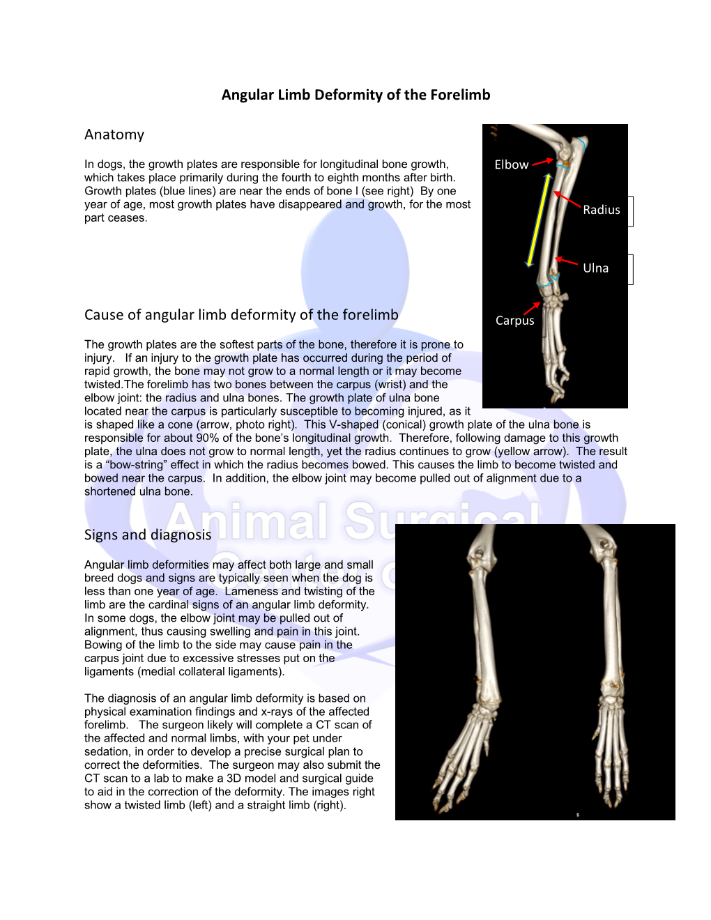 Angular Limb Deformity of the Forelimb