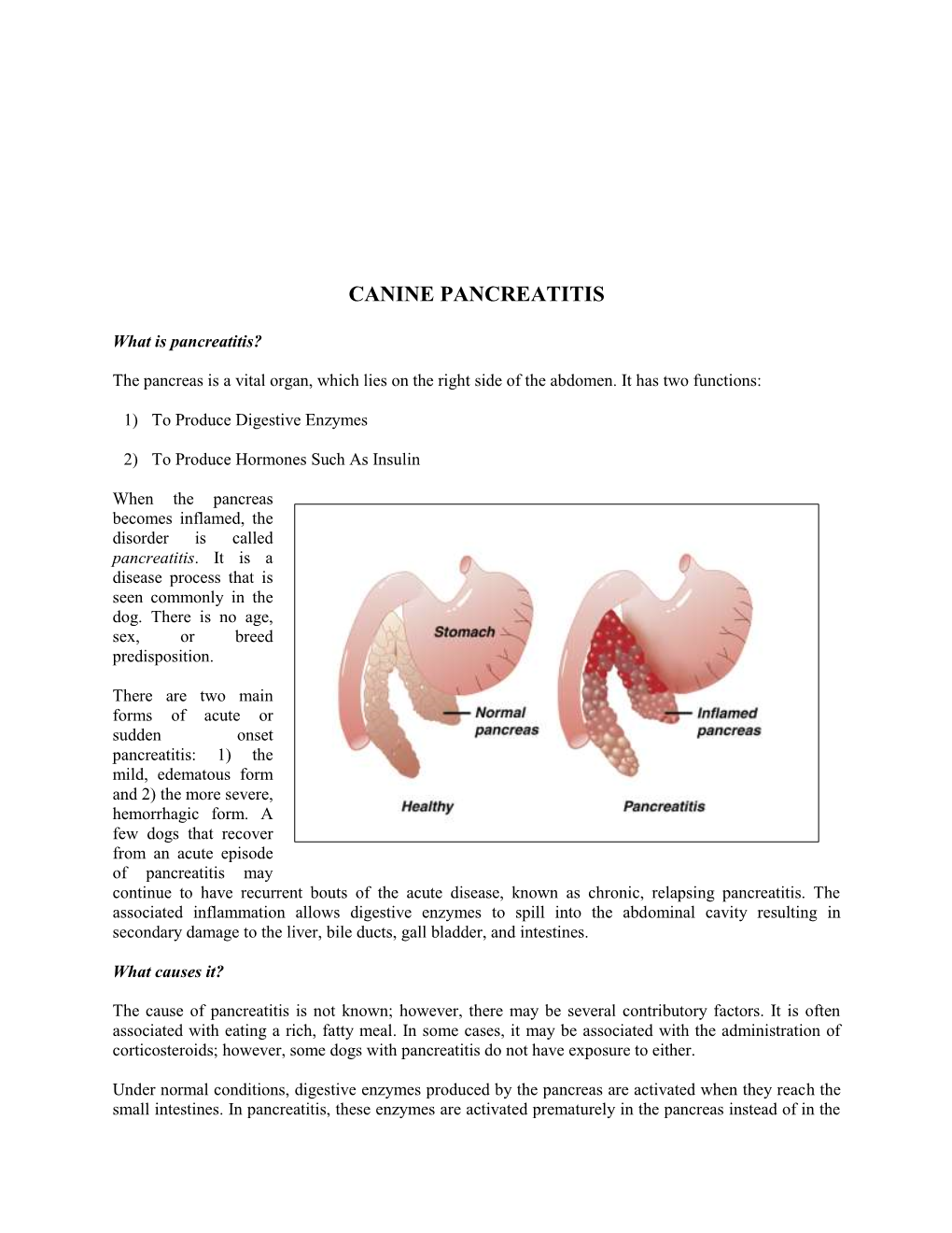 Canine Pancreatitis