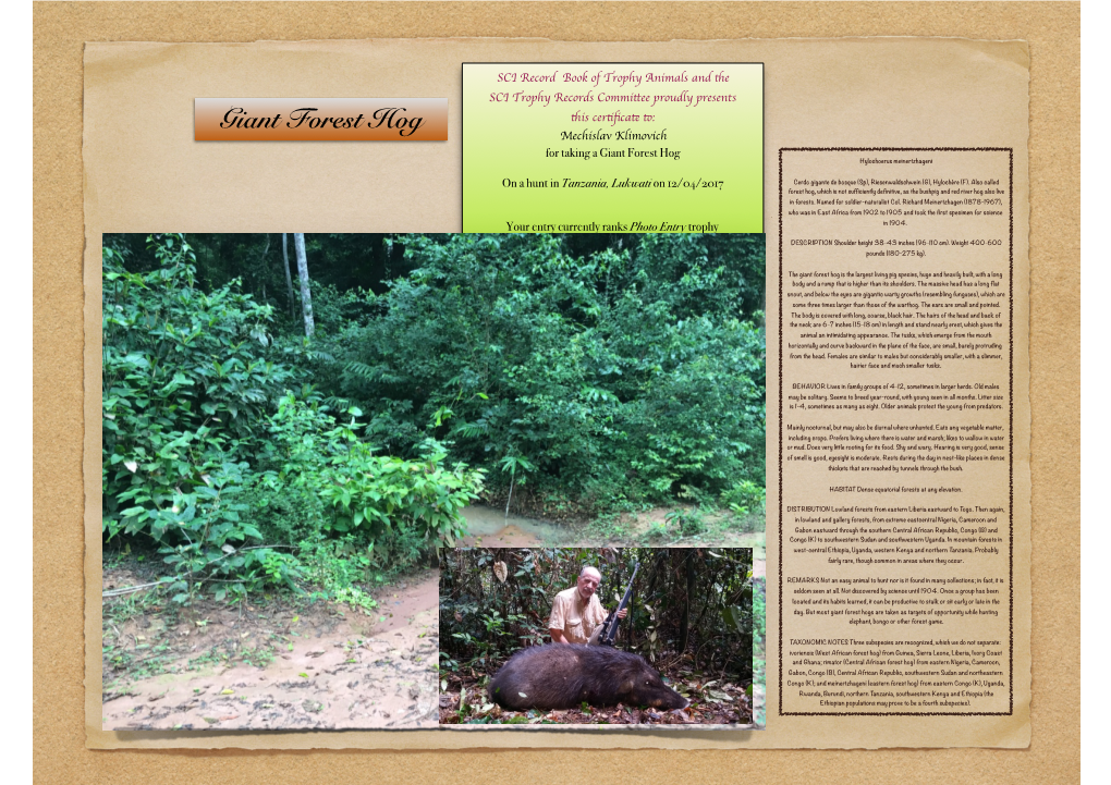Giant Forest Hog Tis Certﬁcat T: Mechislav Klimovich for Taking a Giant Forest Hog Hylochoerus Meinertzhageni