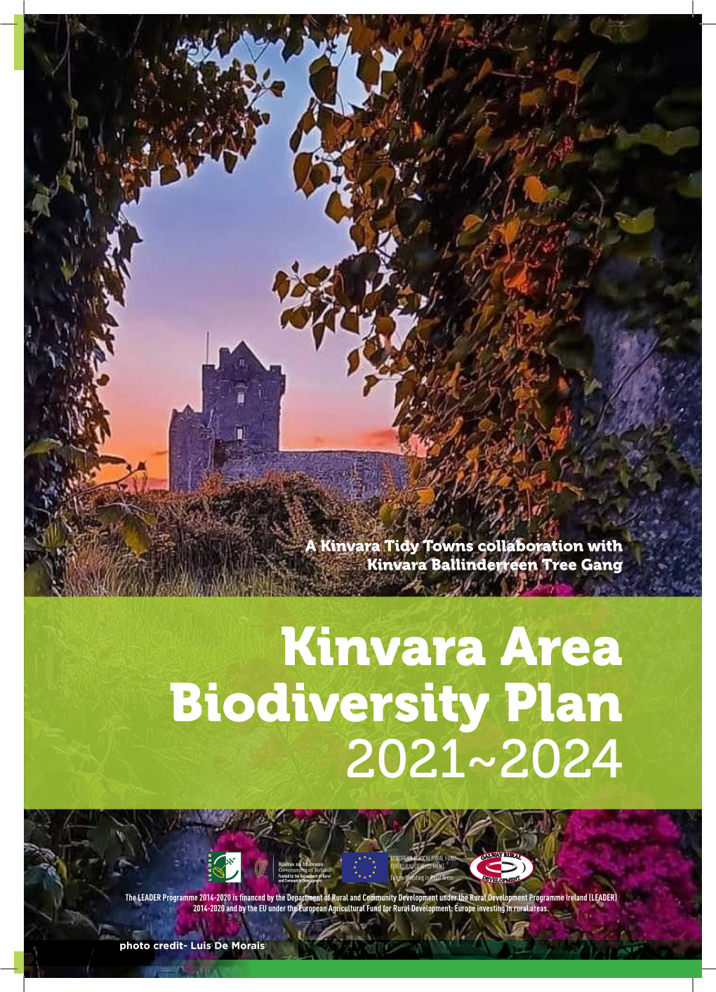 Kinvara Area Biodiversity Plan 2021~2024