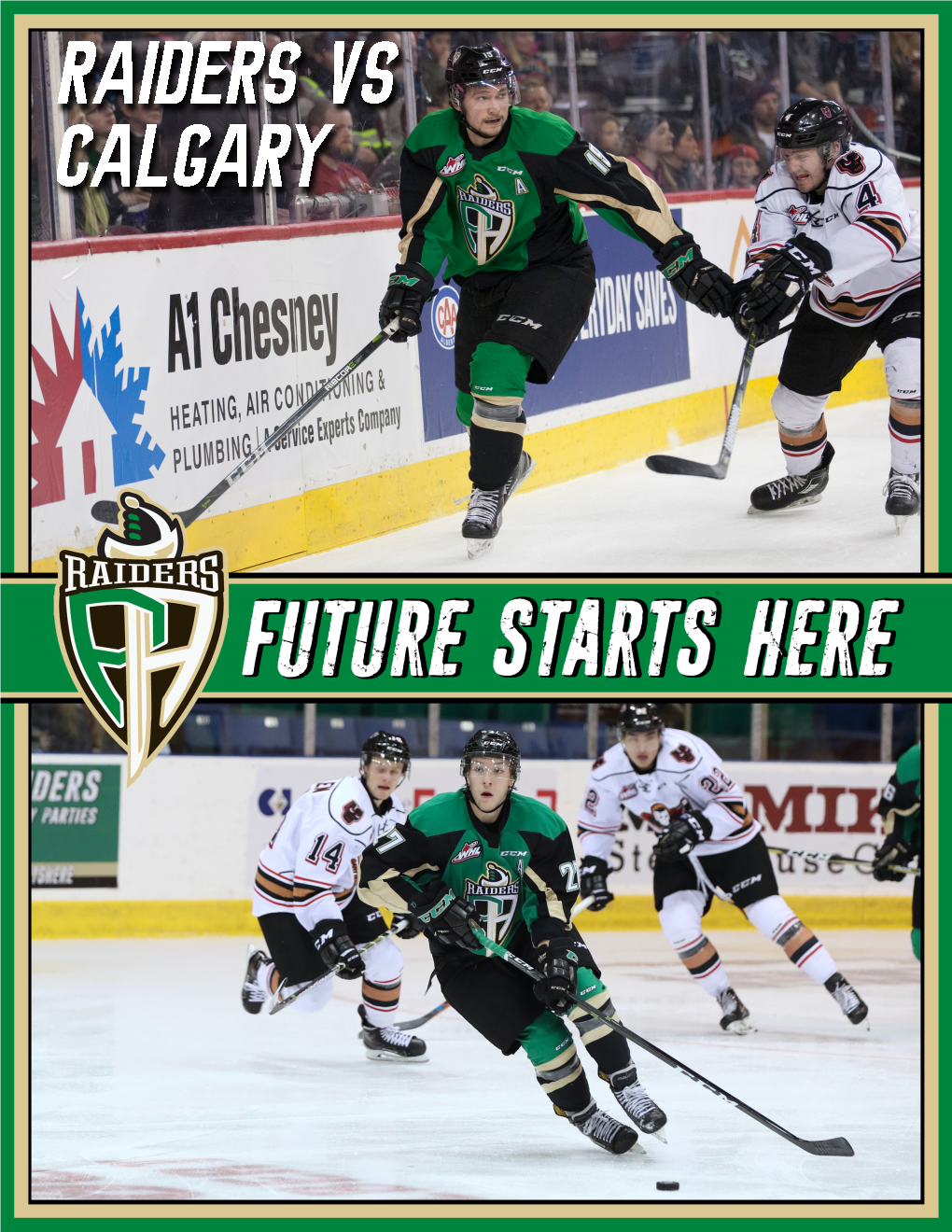 Prince Albert Raiders