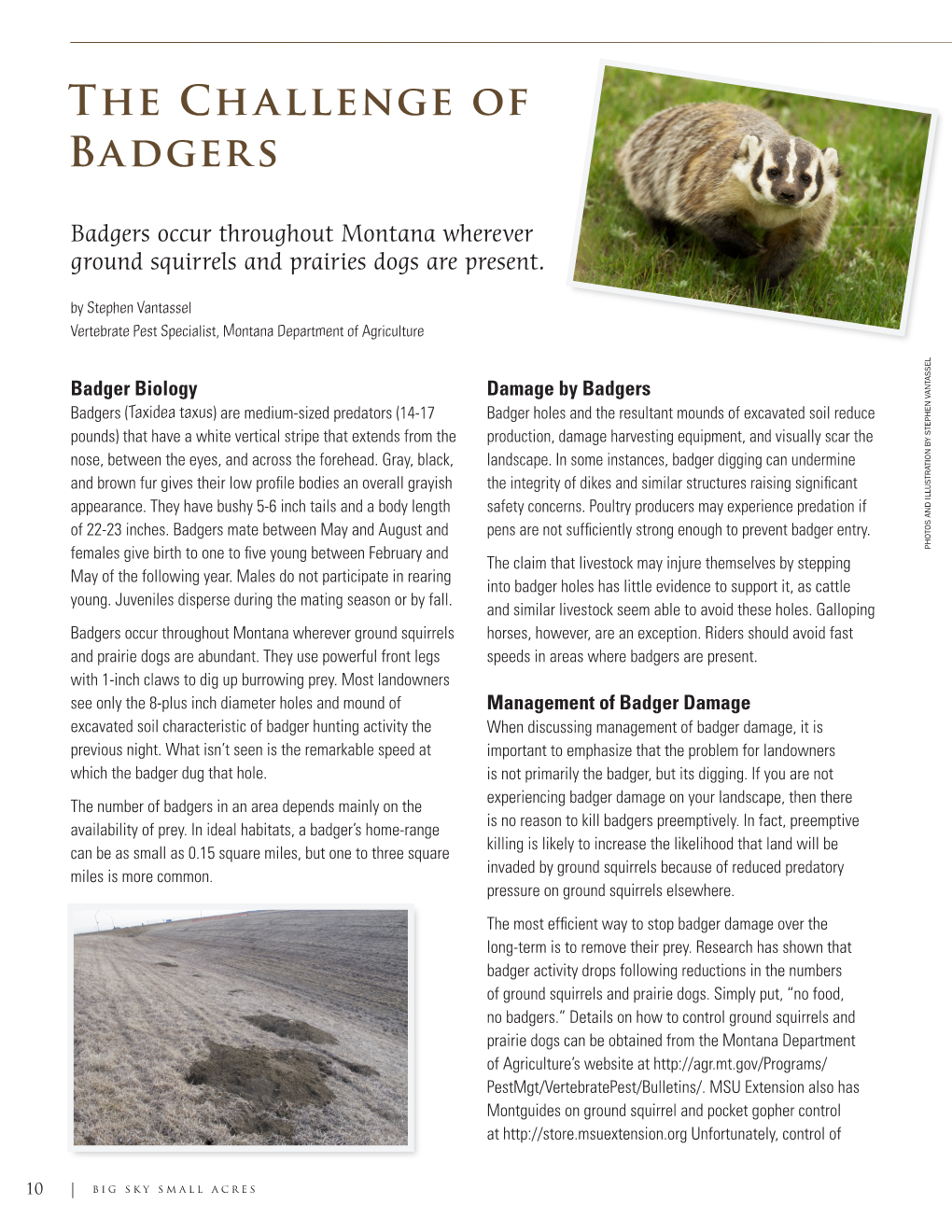 The Challenge of Badgers