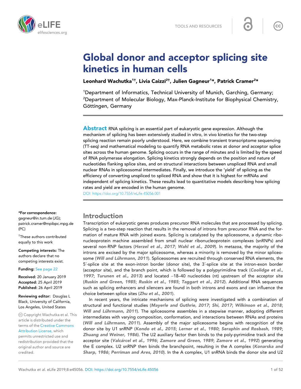 Global Donor and Acceptor Splicing Site Kinetics in Human Cells Leonhard Wachutka1†, Livia Caizzi2†, Julien Gagneur1*, Patrick Cramer2*