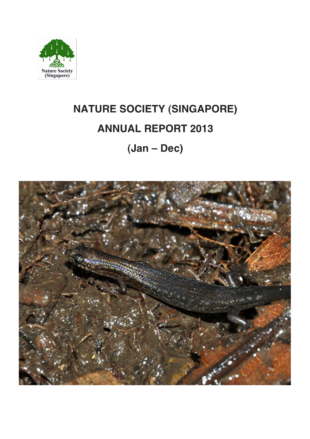 SINGAPORE) ANNUAL REPORT 2013 (Jan – Dec)