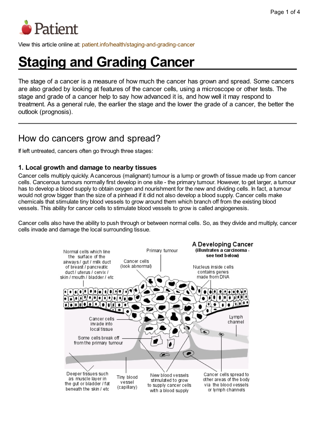 Staging and Grading Cancer