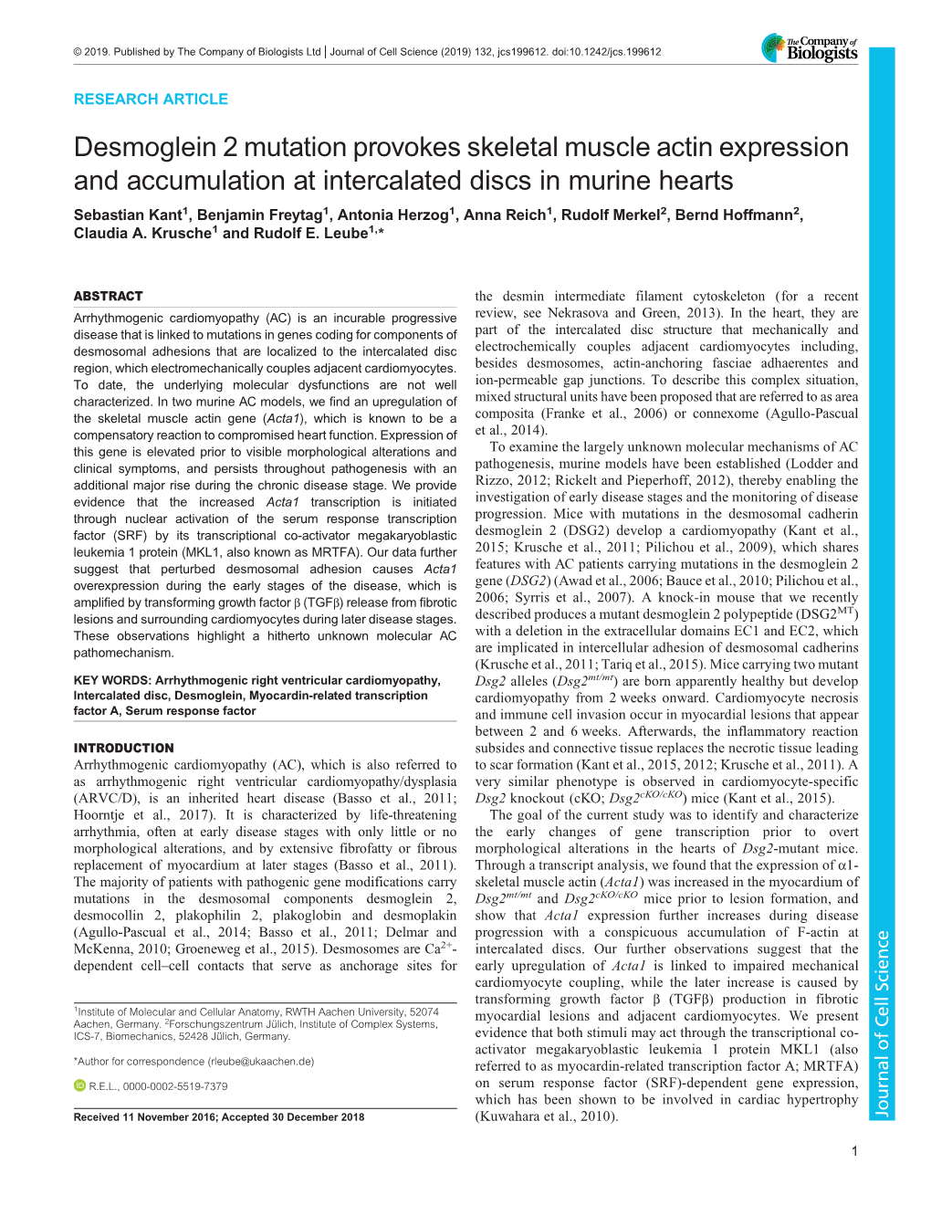 Desmoglein 2 Mutation Provokes Skeletal Muscle Actin Expression