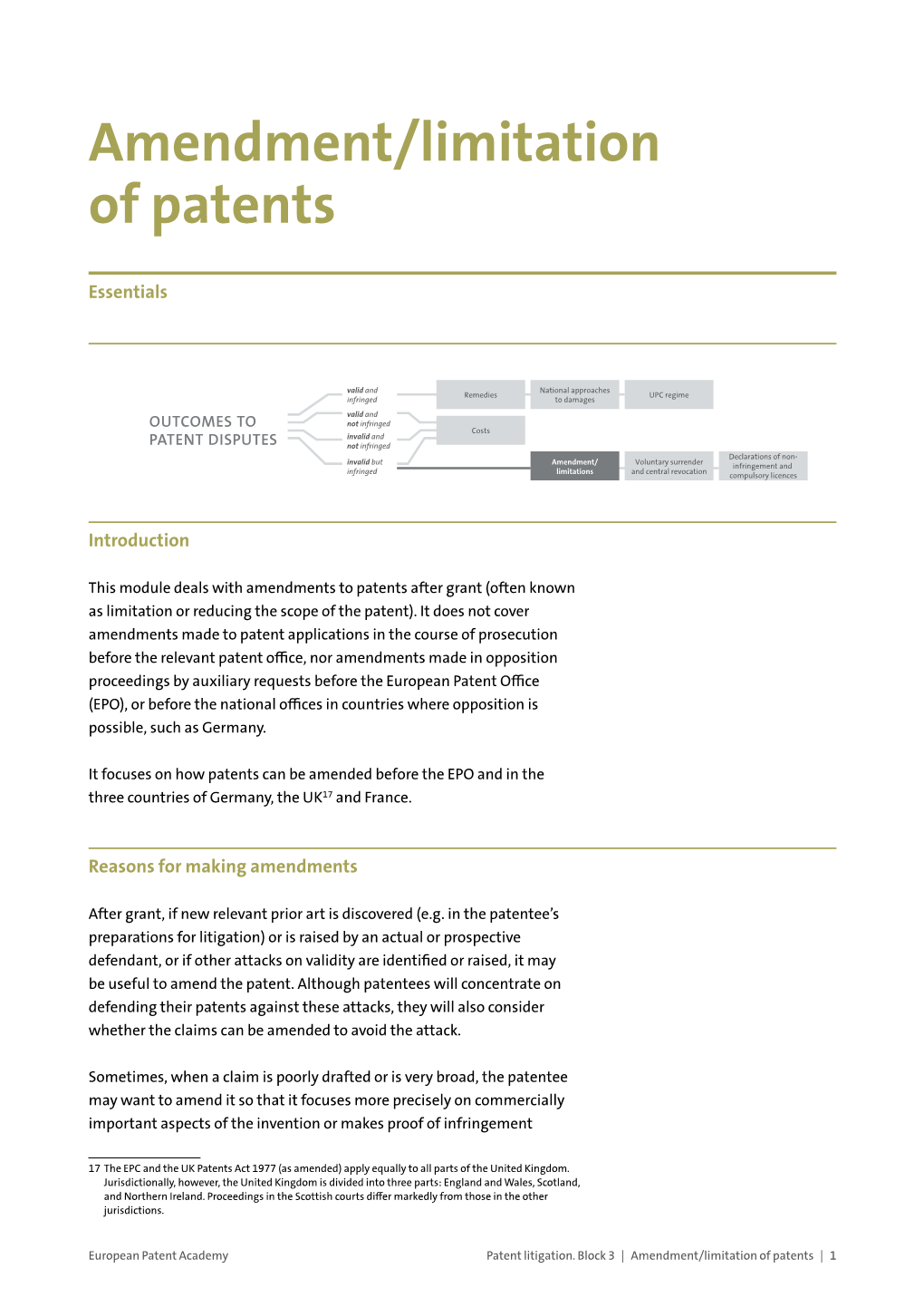 Amendment/Limitation of Patents