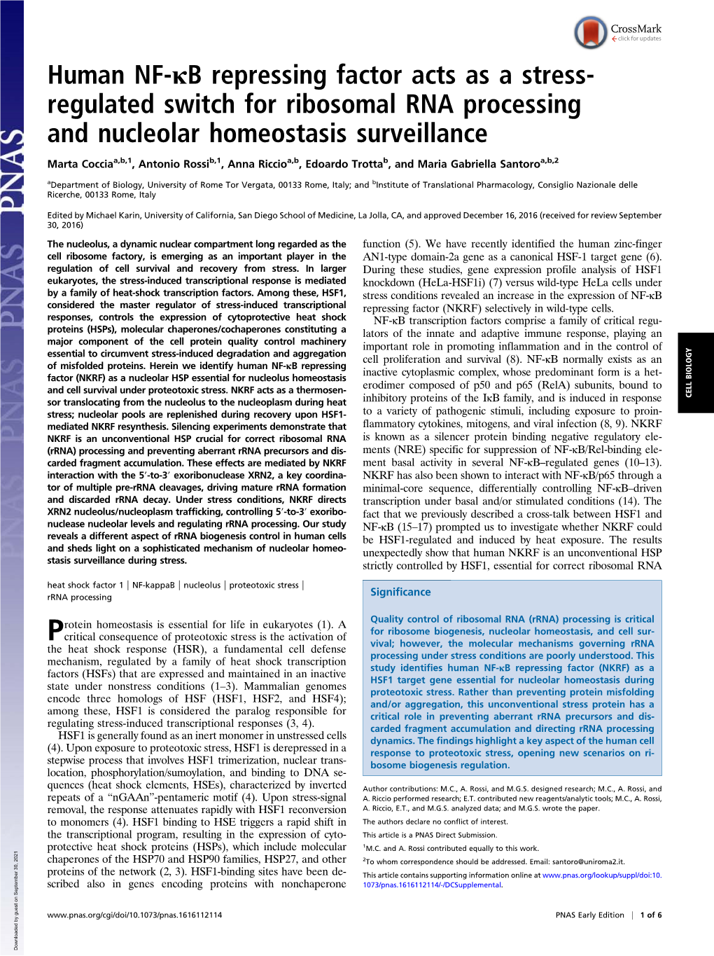 Human NF-Κb Repressing Factor Acts As a Stress-Regulated Switch For