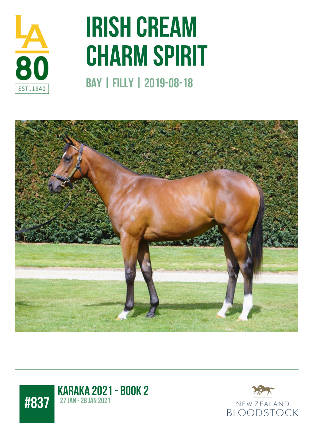 Irish Cream Charm Spirit Bay | Filly | 2019-08-18