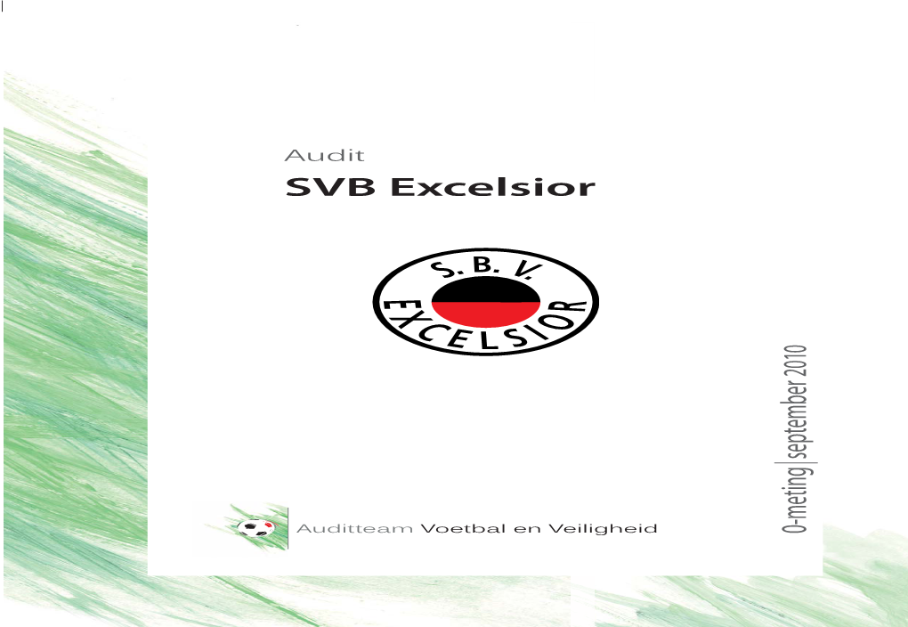 Audit SVB Excelsior 2010 September September