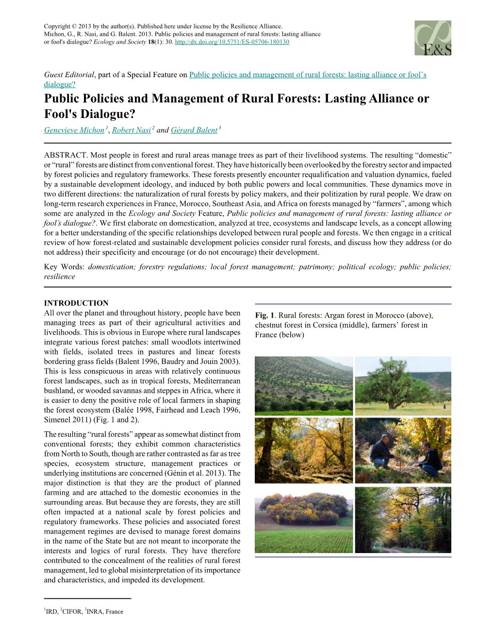 Public Policies and Management of Rural Forests : Lasting