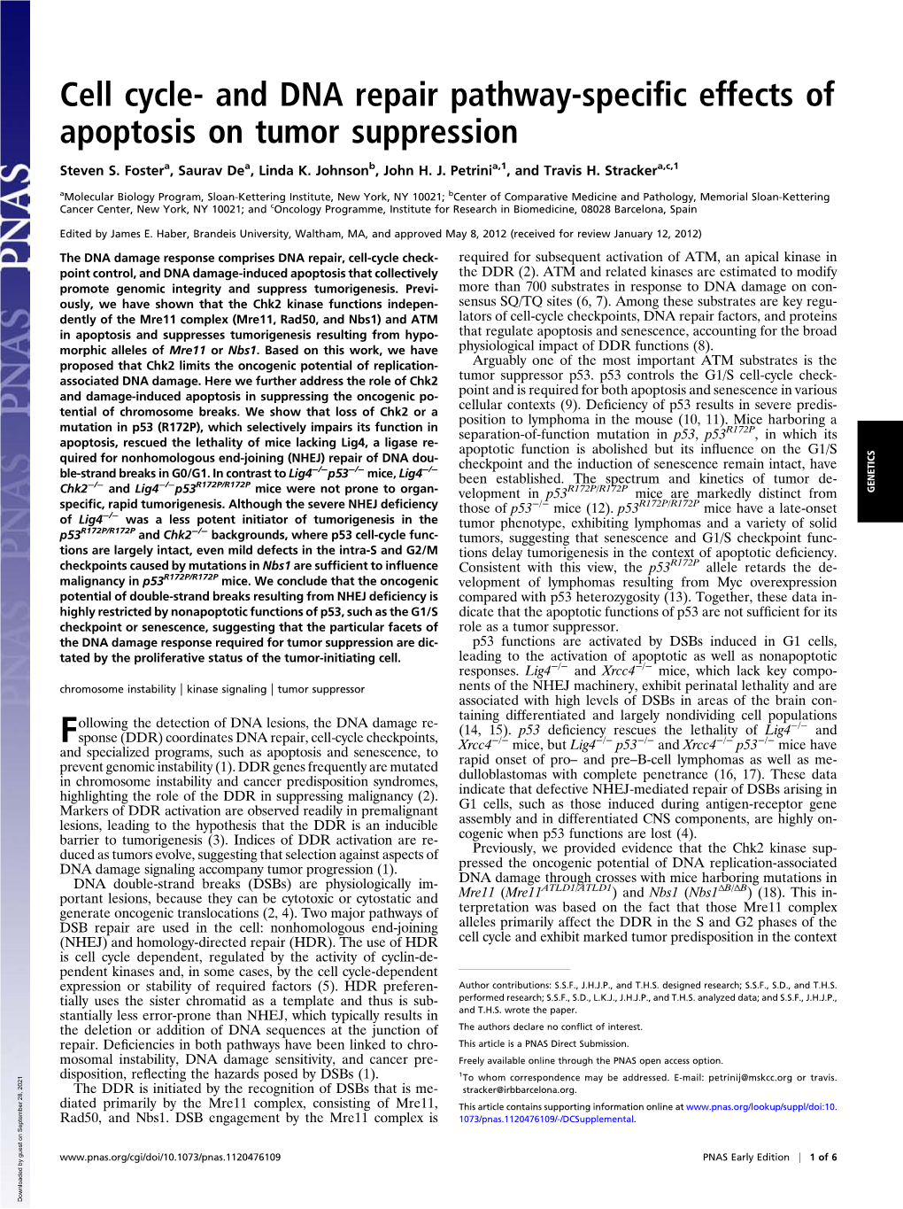 Cell Cycle- and DNA Repair Pathway-Specific Effects of Apoptosis on Tumor Suppression