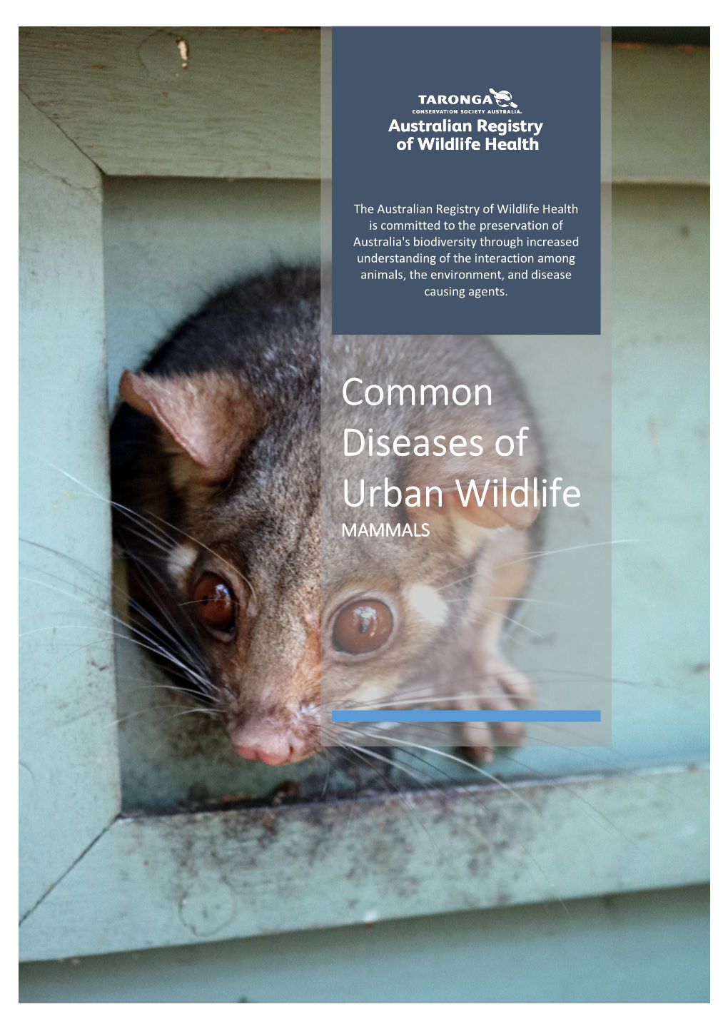 Common Diseases of Urban Wildlife: Mammals