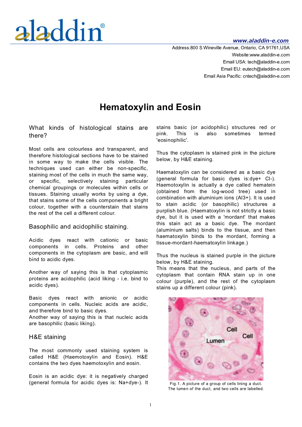 Hematoxylin and Eosin