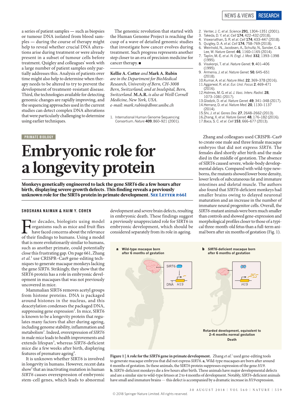 Embryonic Role for a Longevity Protein