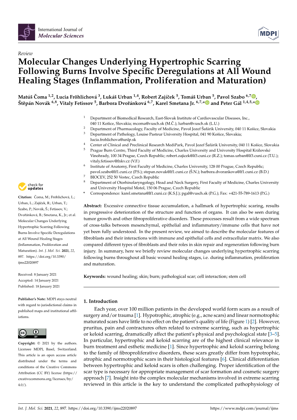 Molecular Changes Underlying Hypertrophic Scarring