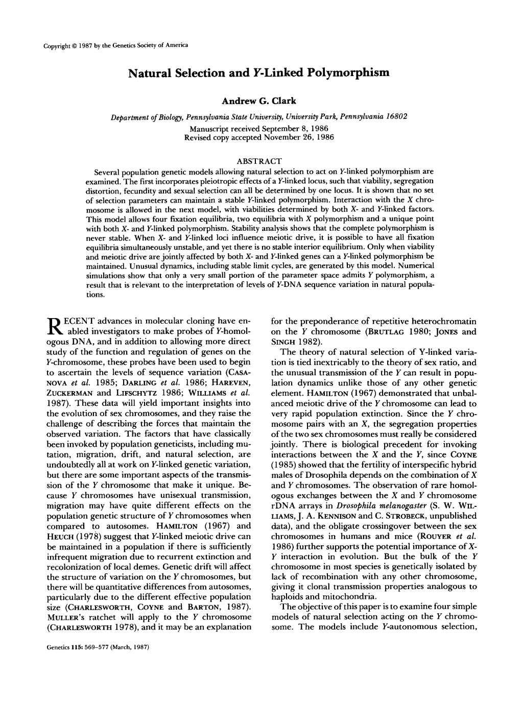 Natural Selection and Y-Linked Polymorphism