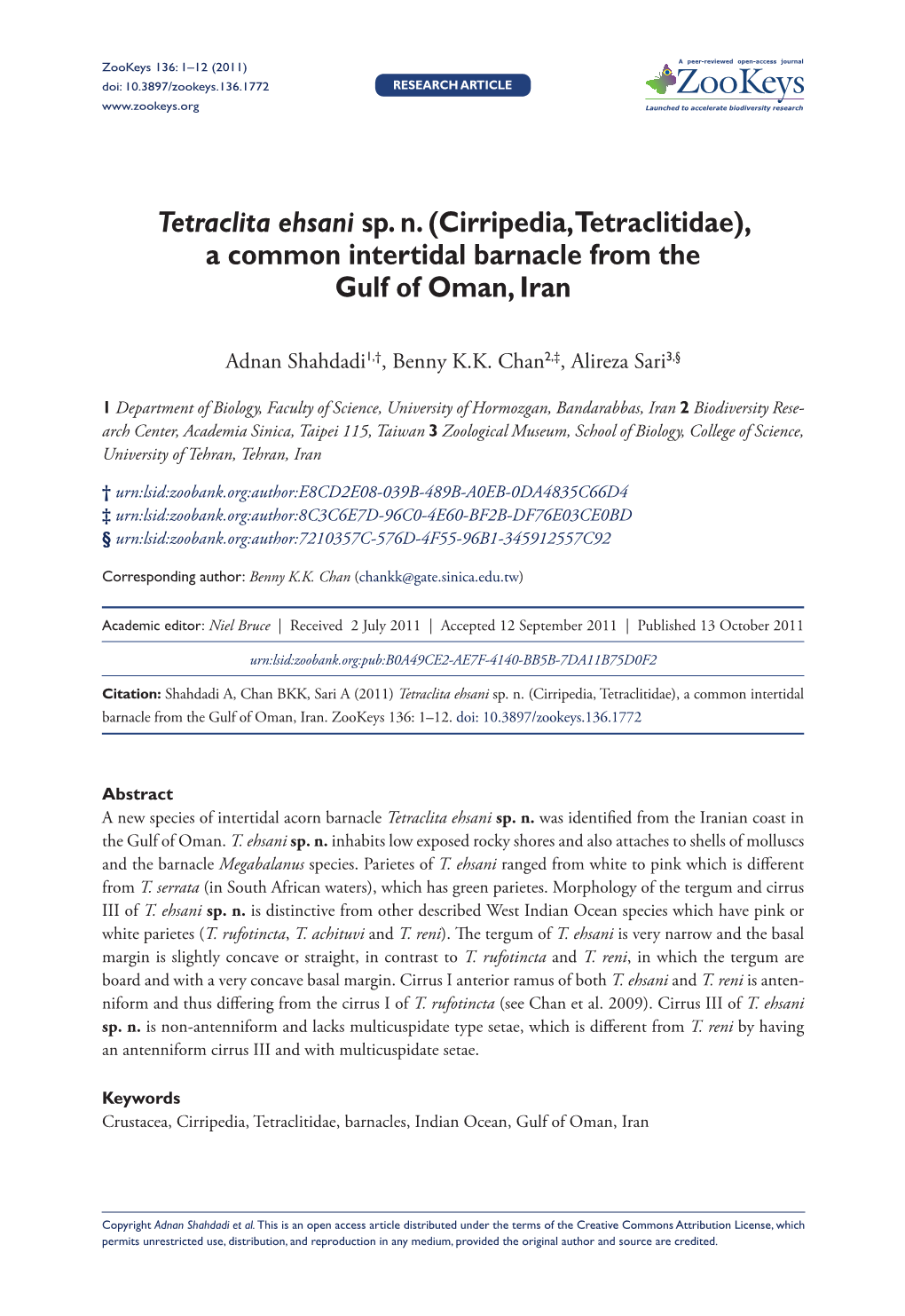 Tetraclita Ehsani Sp. N. (Cirripedia, Tetraclitidae), a Common Intertidal Barnacle from the Gulf of Oman, Iran